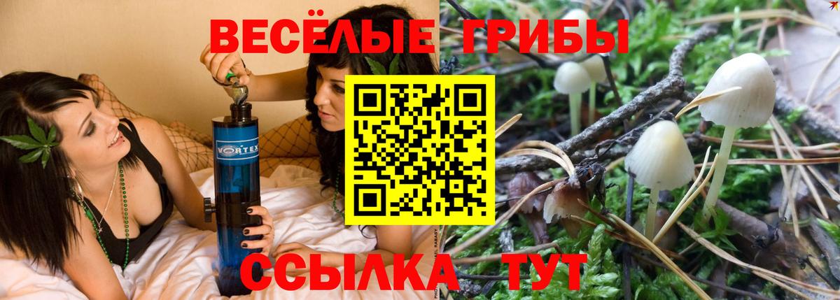 Галлюциногенные грибы прущие грибы  Галлюциногенные грибы ЛСД  Губкин  наркота  Вход с VPN 